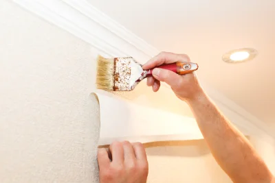 Pose de papier peint à Azay-le-Ferron — revêtements muraux et toiles de verre